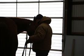 IMG_0319