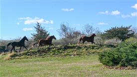 LR-WRF-1142025-Retreat-7329