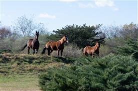 LR-WRF-1142025-Retreat-7344