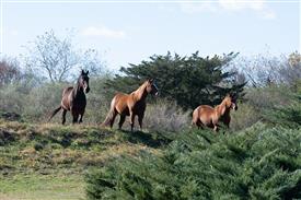 LR-WRF-1142025-Retreat-7346