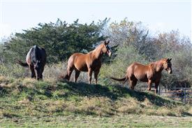 LR-WRF-1142025-Retreat-7353