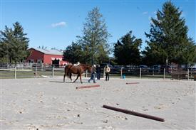 LR-WRF-1142025-Retreat-7554