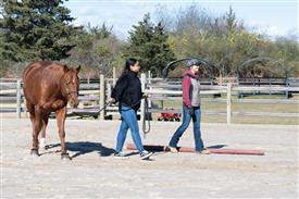 LR-WRF-1142025-Retreat-7593