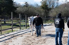 LR-WRF-1142025-Retreat-7644