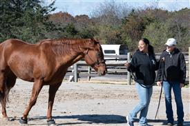 LR-WRF-1142025-Retreat-7661