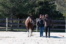 LR-WRF-1142025-Retreat-7671