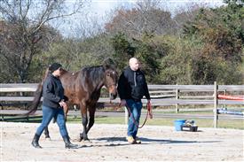 LR-WRF-1142025-Retreat-7739