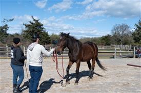 LR-WRF-1142025-Retreat-7831