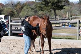 LR-WRF-1142025-Retreat-7846