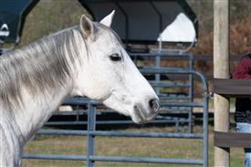 LR-WRF-1142025-Retreat-7862