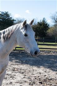 LR-WRF-1142025-Retreat-7885