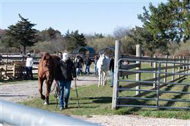 LR-WRF-1142025-Retreat-7903