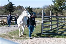 LR-WRF-1142025-Retreat-7906