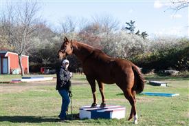 LR-WRF-1142025-Retreat-7911