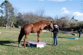 LR-WRF-1142025-Retreat-7970