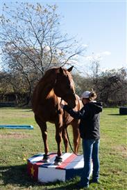 LR-WRF-1142025-Retreat-7987