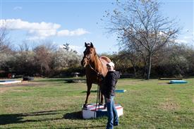 LR-WRF-1142025-Retreat-8029