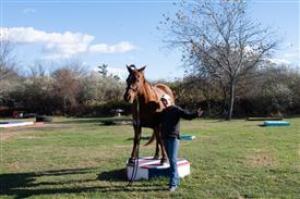 LR-WRF-1142025-Retreat-8032