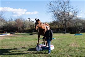 LR-WRF-1142025-Retreat-8033