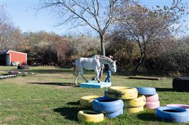 LR-WRF-1142025-Retreat-8051