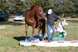 LR-WRF-1142025-Retreat-8084