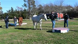 LR-WRF-1142025-Retreat-8103