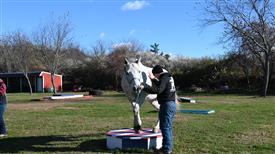 LR-WRF-1142025-Retreat-8134