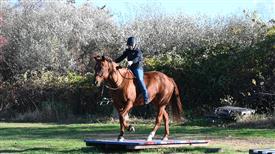 LR-WRF-1142025-Retreat-8156