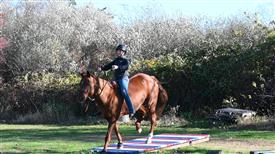 LR-WRF-1142025-Retreat-8157