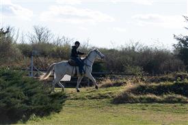 LR-WRF-1142025-Retreat-8204