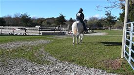 LR-WRF-1142025-Retreat-8241