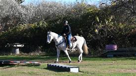 LR-WRF-1142025-Retreat-8275