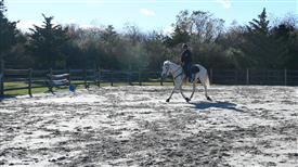 LR-WRF-1142025-Retreat-8326