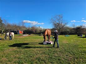 LR-WRF11432025-Retreat-140813