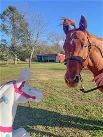 LR-WRF11432025-Retreat-171629